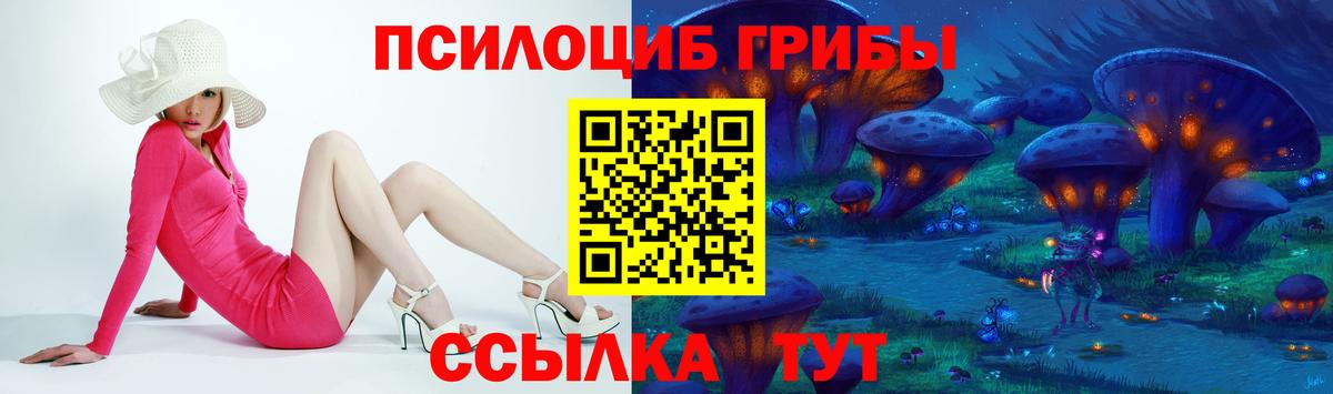 Псилоцибиновые грибы Psilocybine cubensis  Галлюциногенные грибы ЛСД  Коммунар  Вход с VPN 